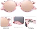 SOJOS Lunettes de soleil retro rondes polarisés pour femmes Hommes Classic Vintage Sunnies SJ2069