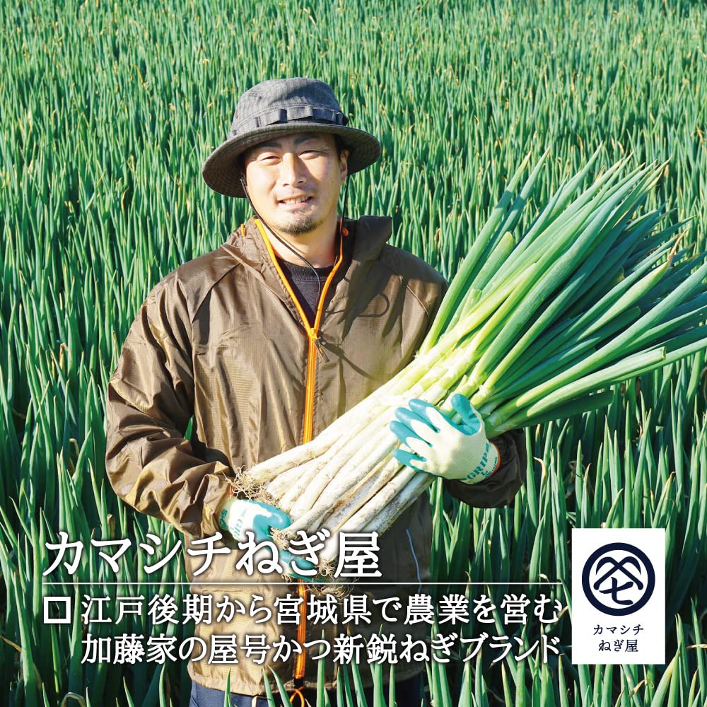 Amazon.co.jp: カマシチねぎ屋 旬の甘ねぎ｜ ネギ ねぎ 葱 生葱 生
