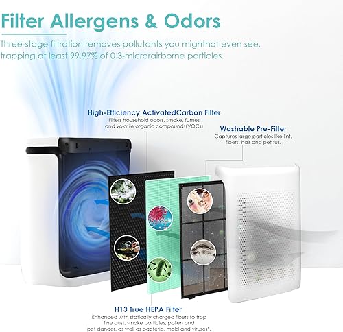 Miniatura 2 de Flintar Vital 100S Filtro de repuesto para absorción de humo y toxinas, compatible con el purificador de aire LEVOIT Vital 100S, H13 True HEPA +
