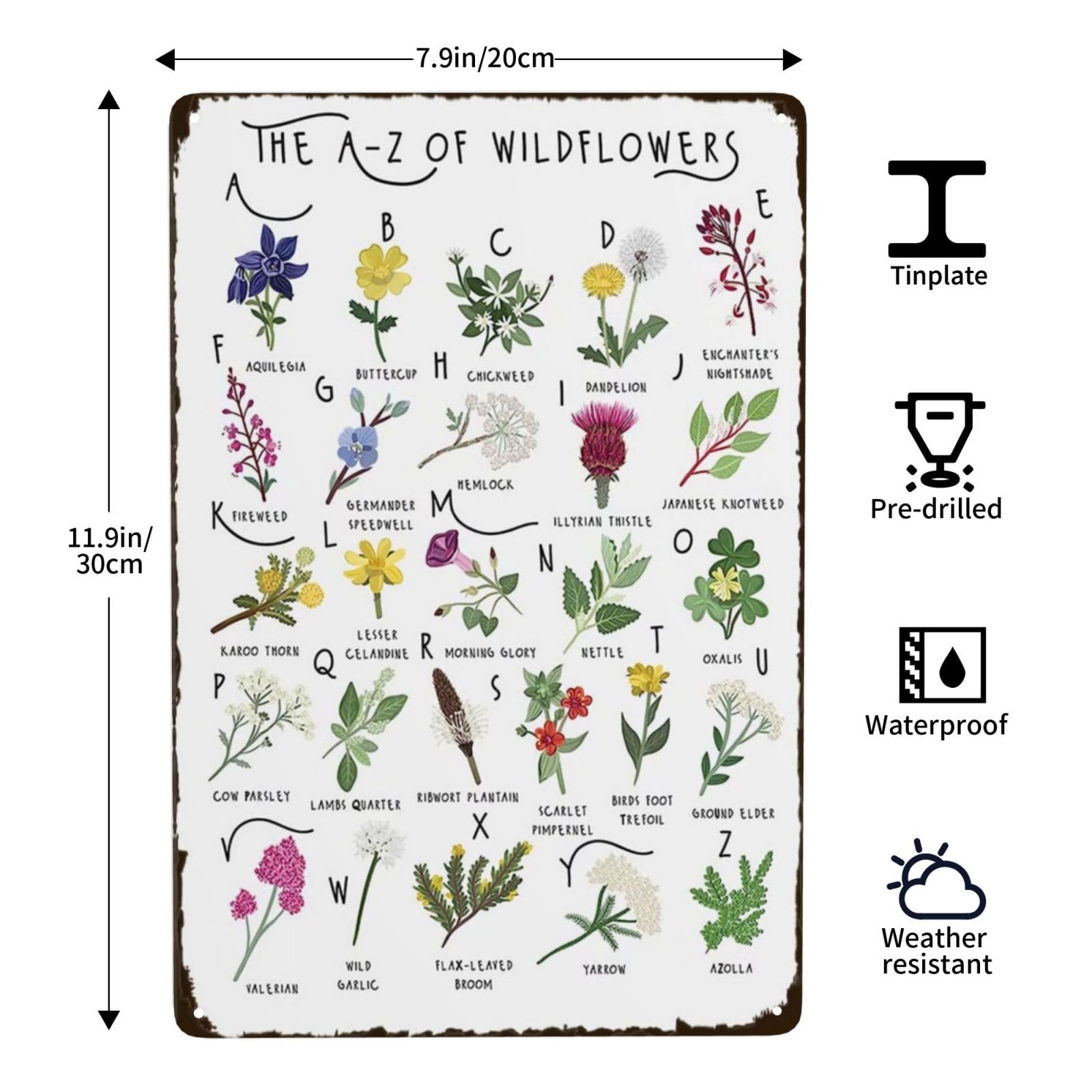 Poster da parete vintage in metallo, 20 x 30 cm, poster hippie, poster con scritta Stay Wild Flower, decorazione da parete per bambini, hippie Girl Botanical, BarTavernPubClub, uomo grotta