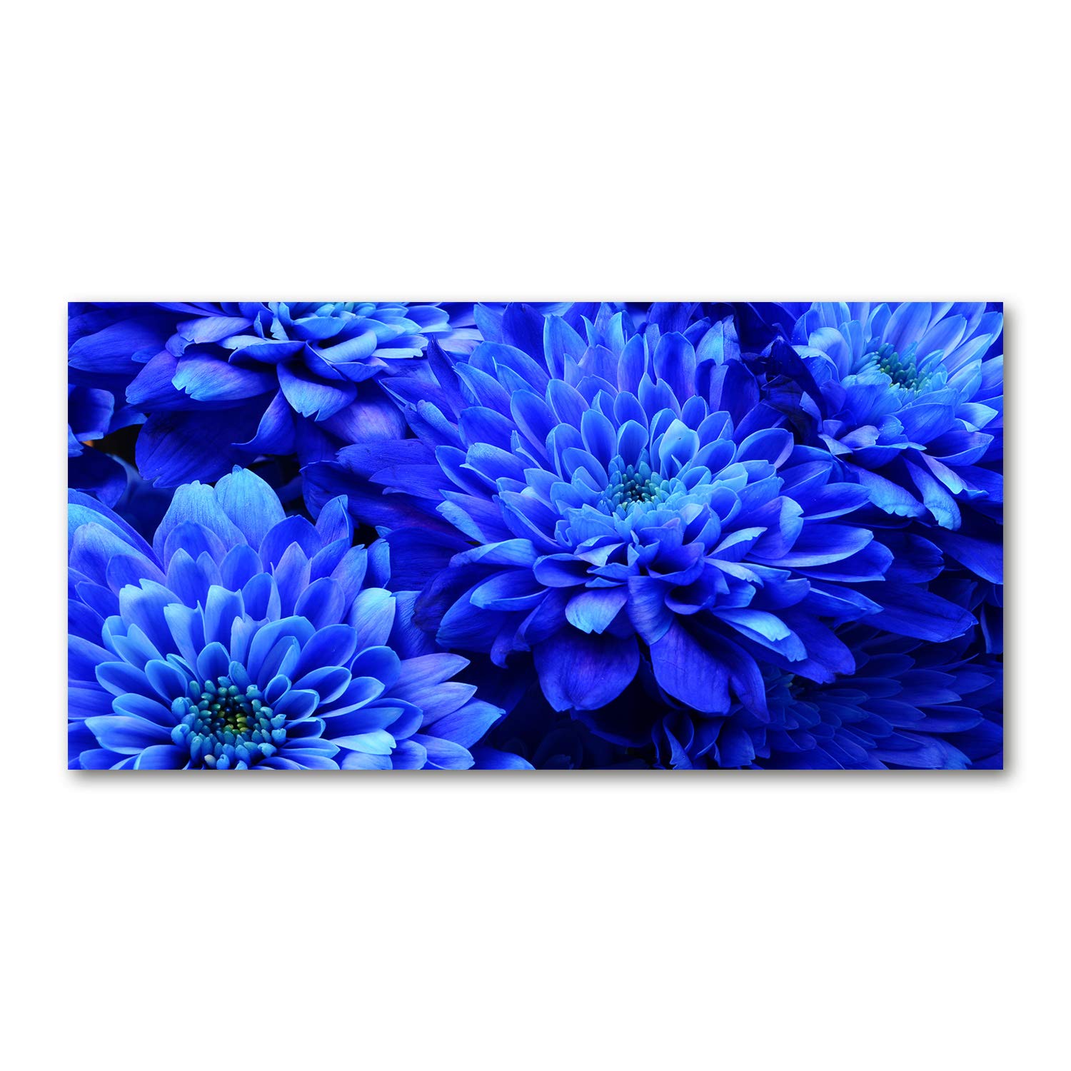 Impression sur verre 120x60 cm Aster Bleu - Tableau panoramique
