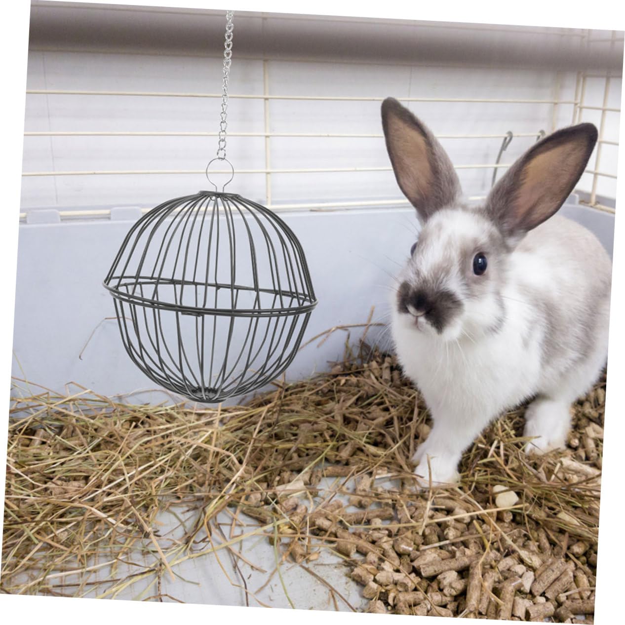 Milisten 4stücke Heuball Futterspender Für Kaninchen Und Nagetiere Hängendes Grasspielzeug Für Hamster Meerschweinchen Chinchillas Und Andere Kleintiere Robuste Konstruktion Für