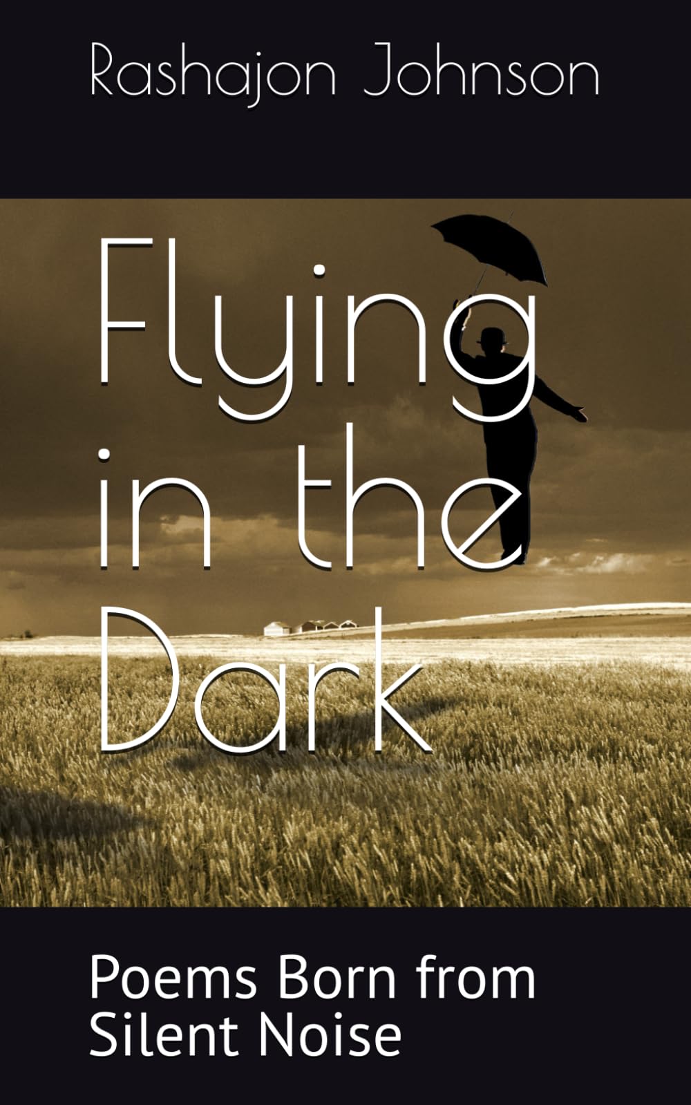 Flying in the Dark: Poems Born from Silent Noise