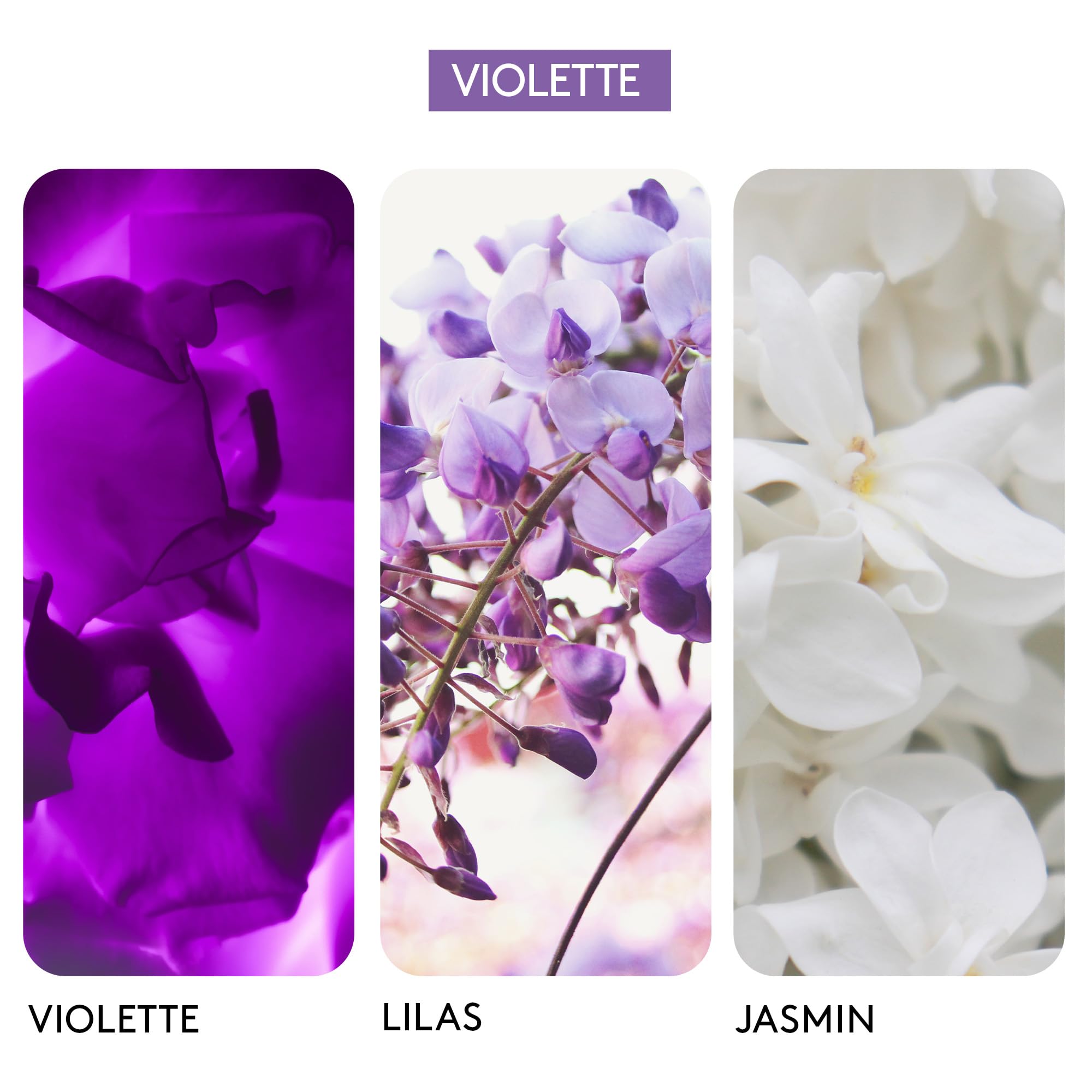 BERDOUES 1902 Eau de Cologne Violette, Lot Rechargeable, Made in France, Sans colorant Parfum femme et homme, vaporisateur 125ml et recharge 245ml