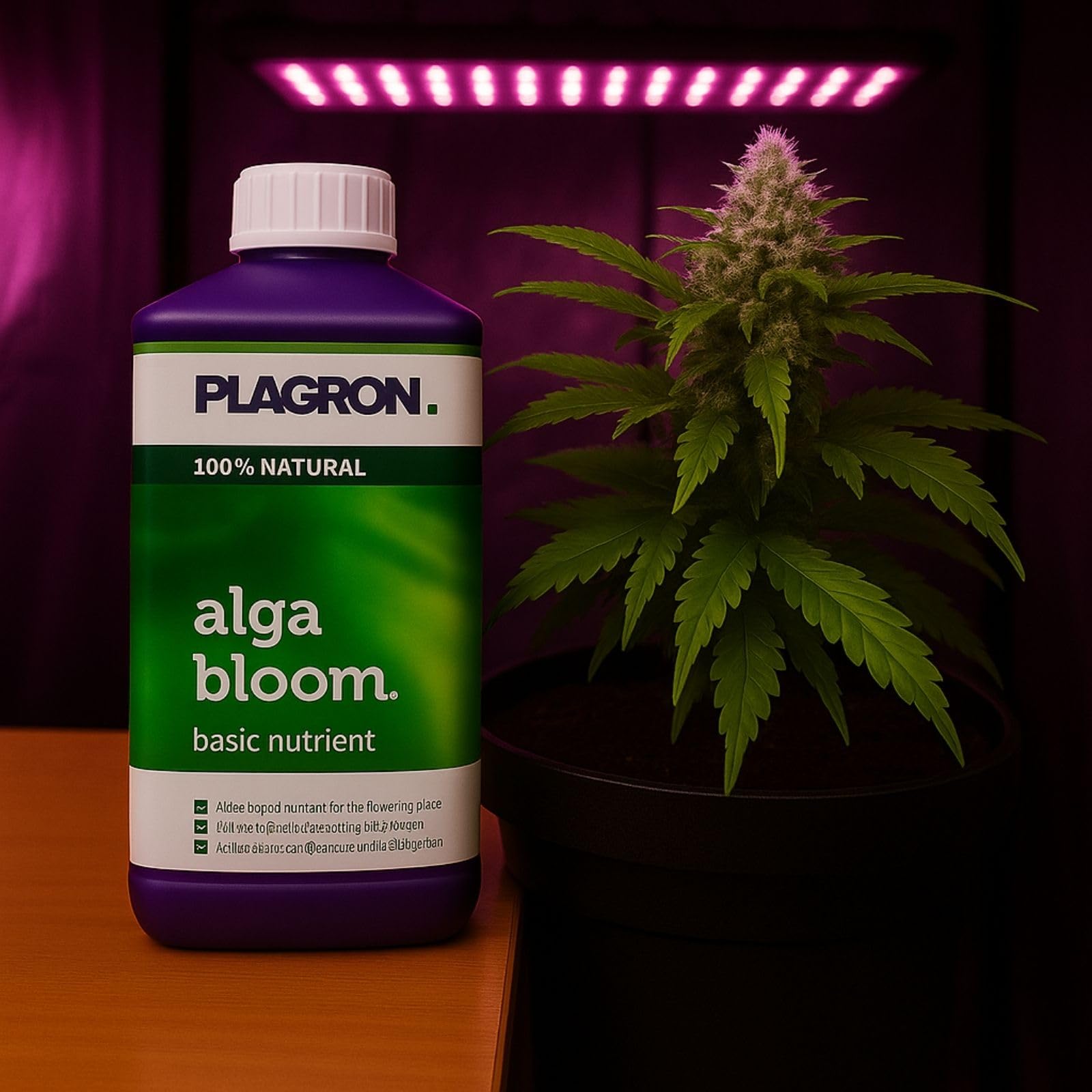 Weedness Plagron Alga Bloom 5 L – Engrais naturel pour floraison