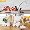 Product Photo 5