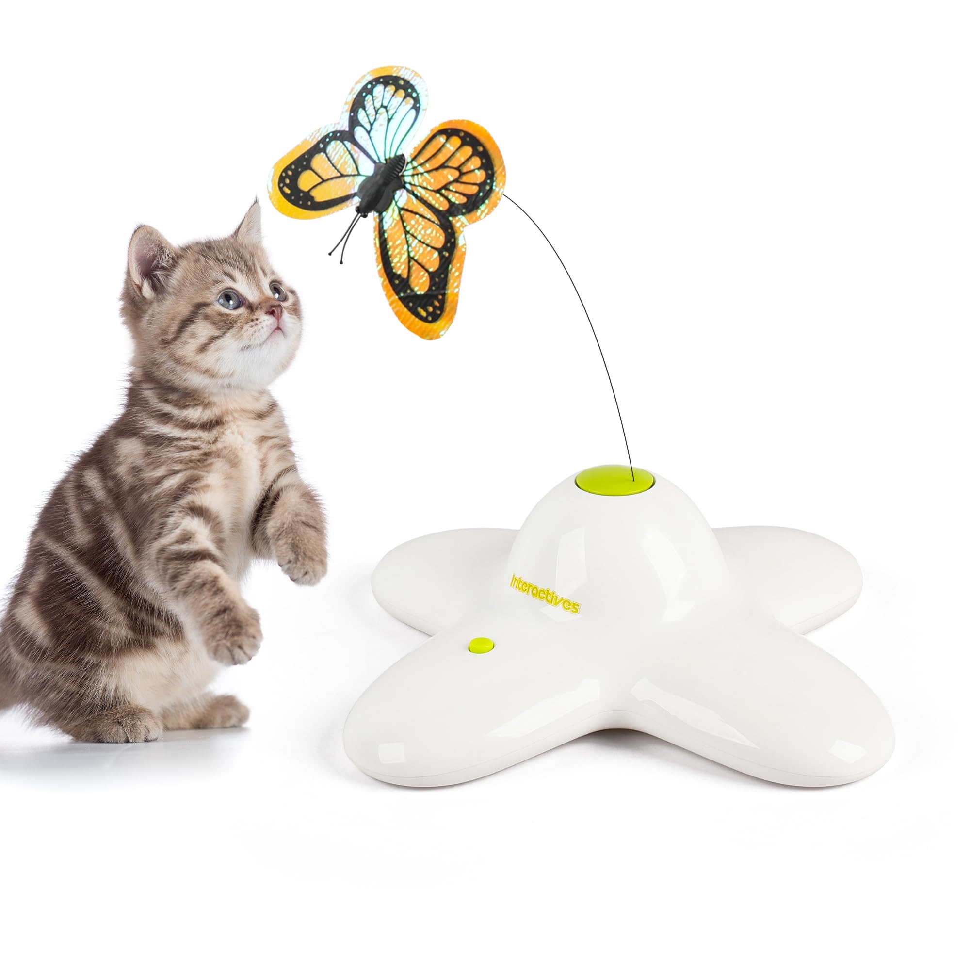 ボーダーファインアーツ 【BP23・Tom Kitten Butterfly】 Amazon.com: All for Paws Cat Toys Interactive Butterfly Flutter