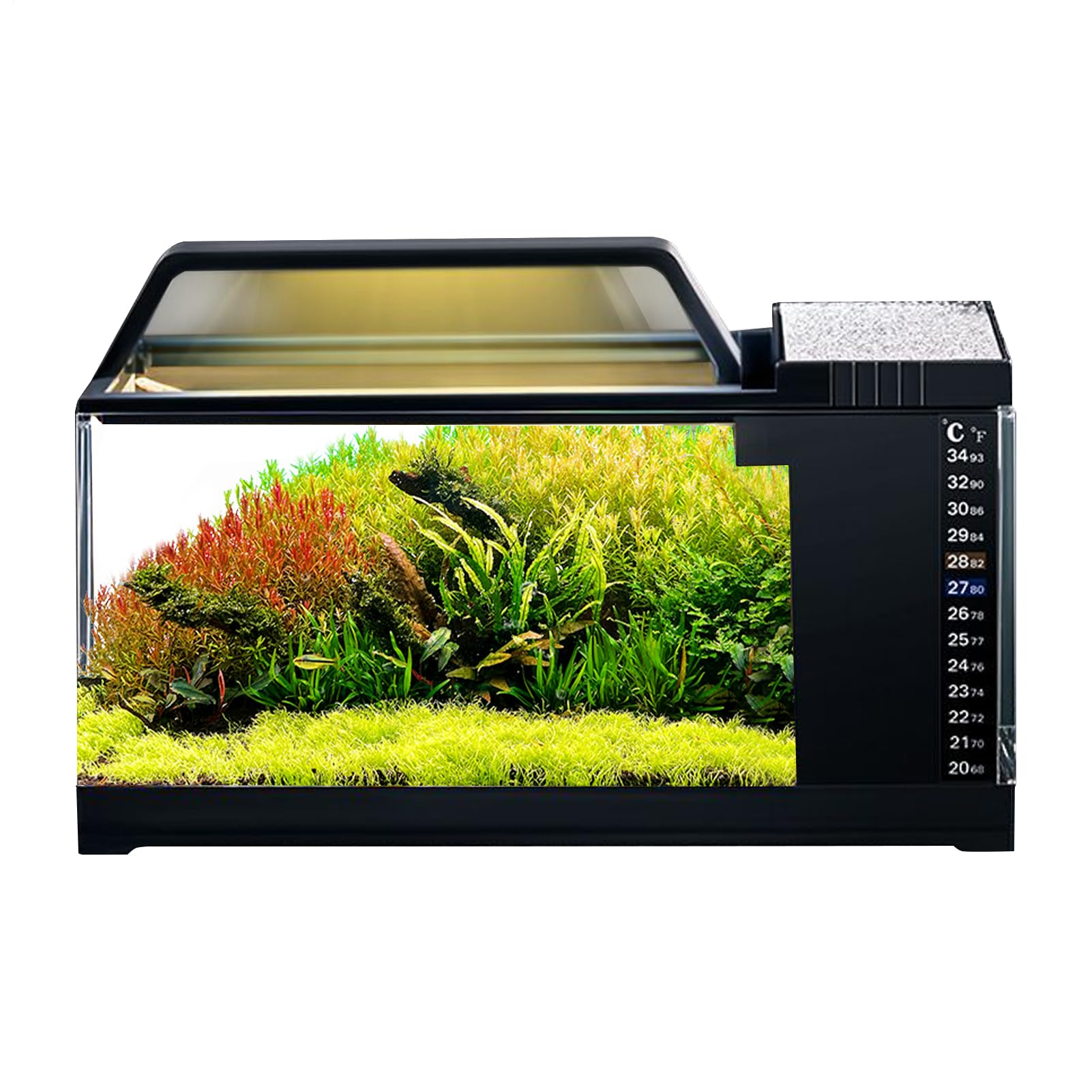 Kit Acquario Completo - Acquario per Pesci con Luce a LED e Pompa Acqua - Pompa Silenziosa Piccola con Filtro, Intelligenti da Scrivania per Decorare Camera da Letto e Soggiorno