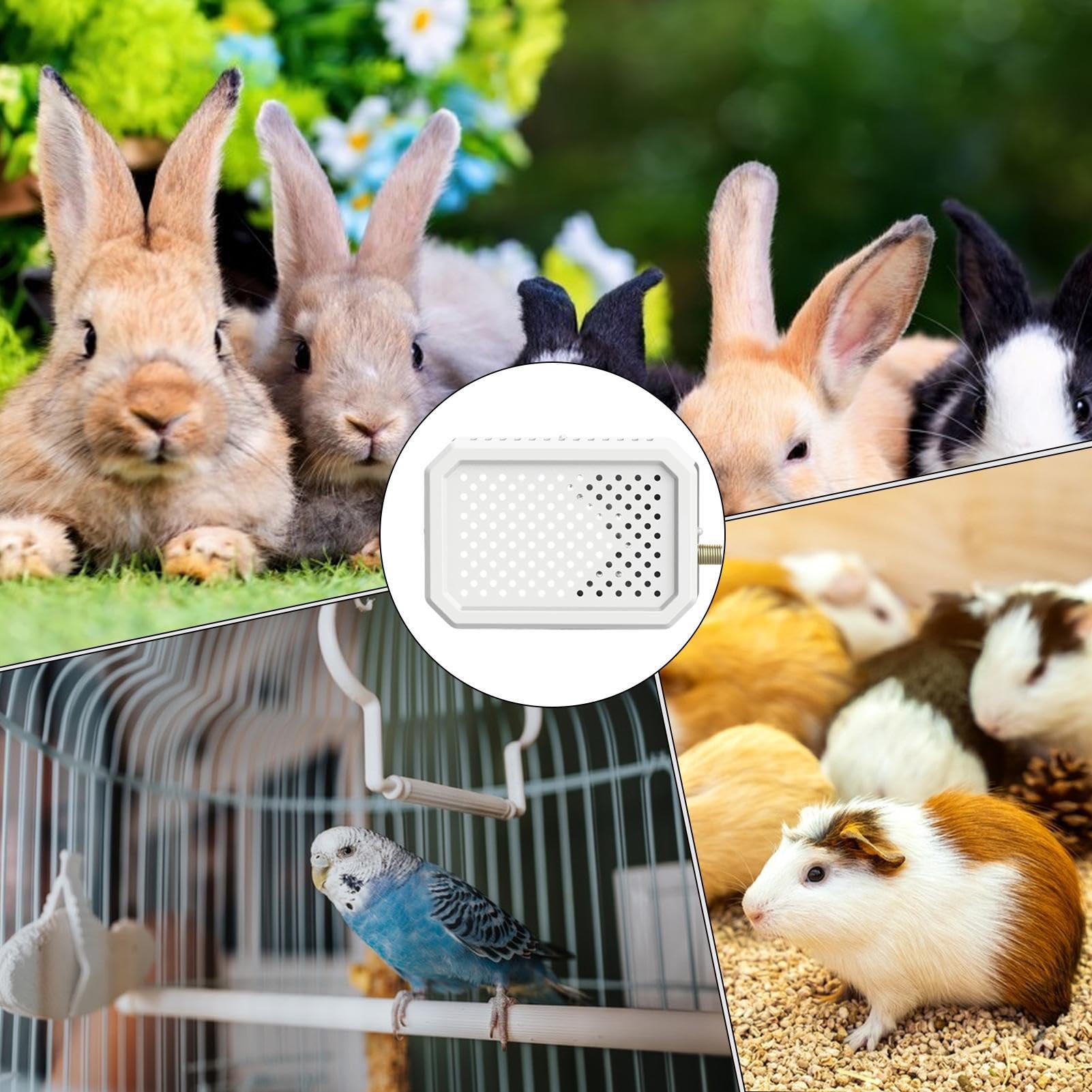 Calentador de pájaros, termostato inteligente con calefacción rápida y cálida - Calefacción de jaula para pequeñas mascotas y periquitos, para conejos, hámsteres, loros grises