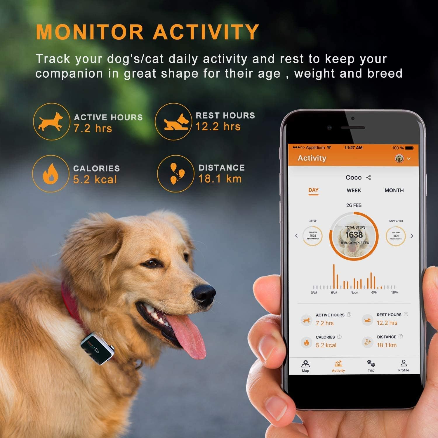 Pawfit gps pet tracker review Clearance