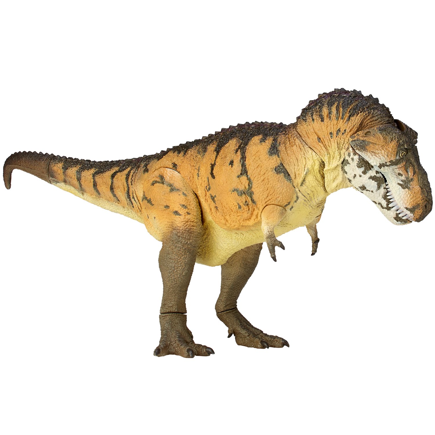 Amazon.co.jp: ソフビトイボックス018A ティラノサウルス ノンスケール 