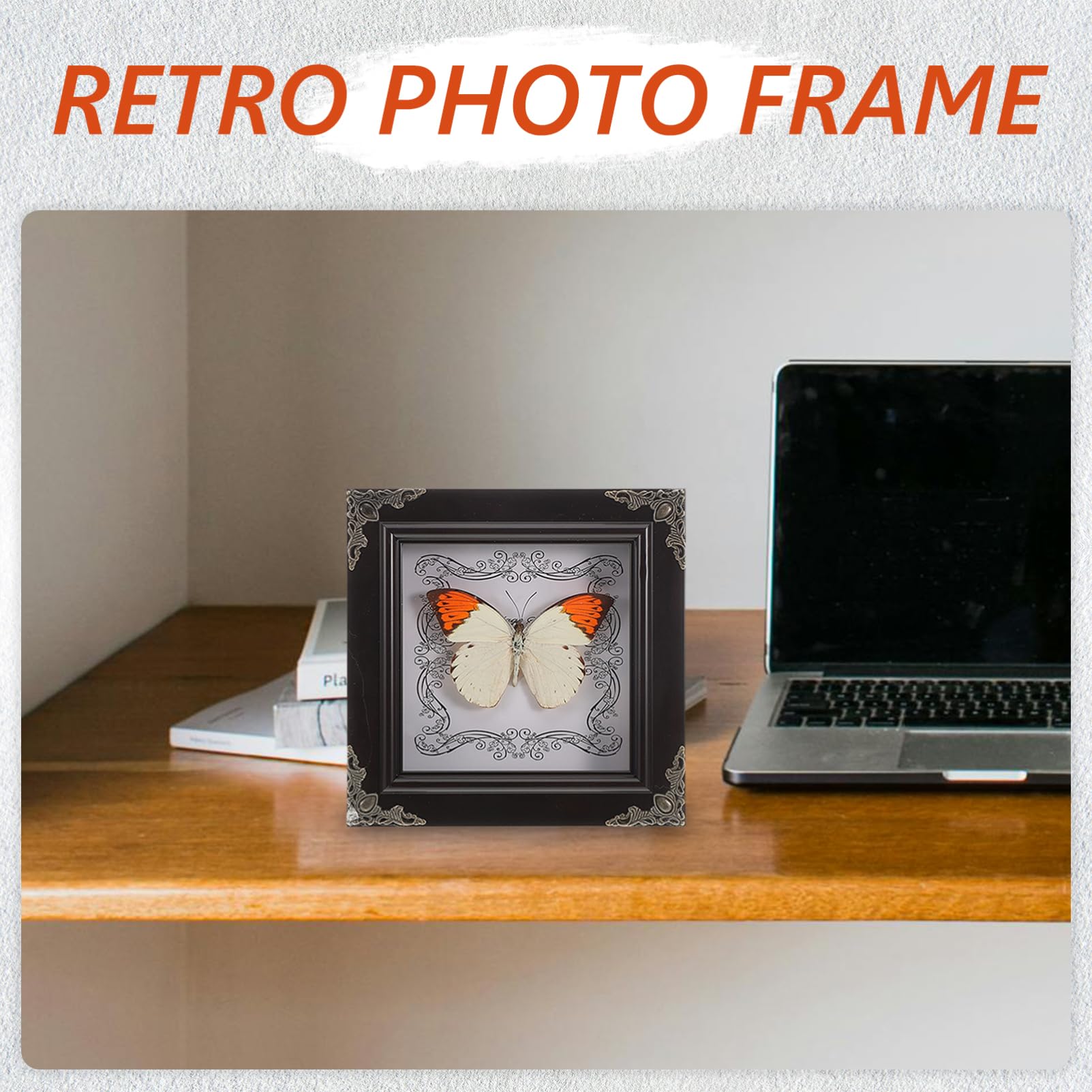 TOYANDONA Butterfly Specimen Frame Butterfly Shadow Box Real Butterfly Specimen Frame Butterfly Specimen Photo Prop Specimen Frame Butterfly Specimen