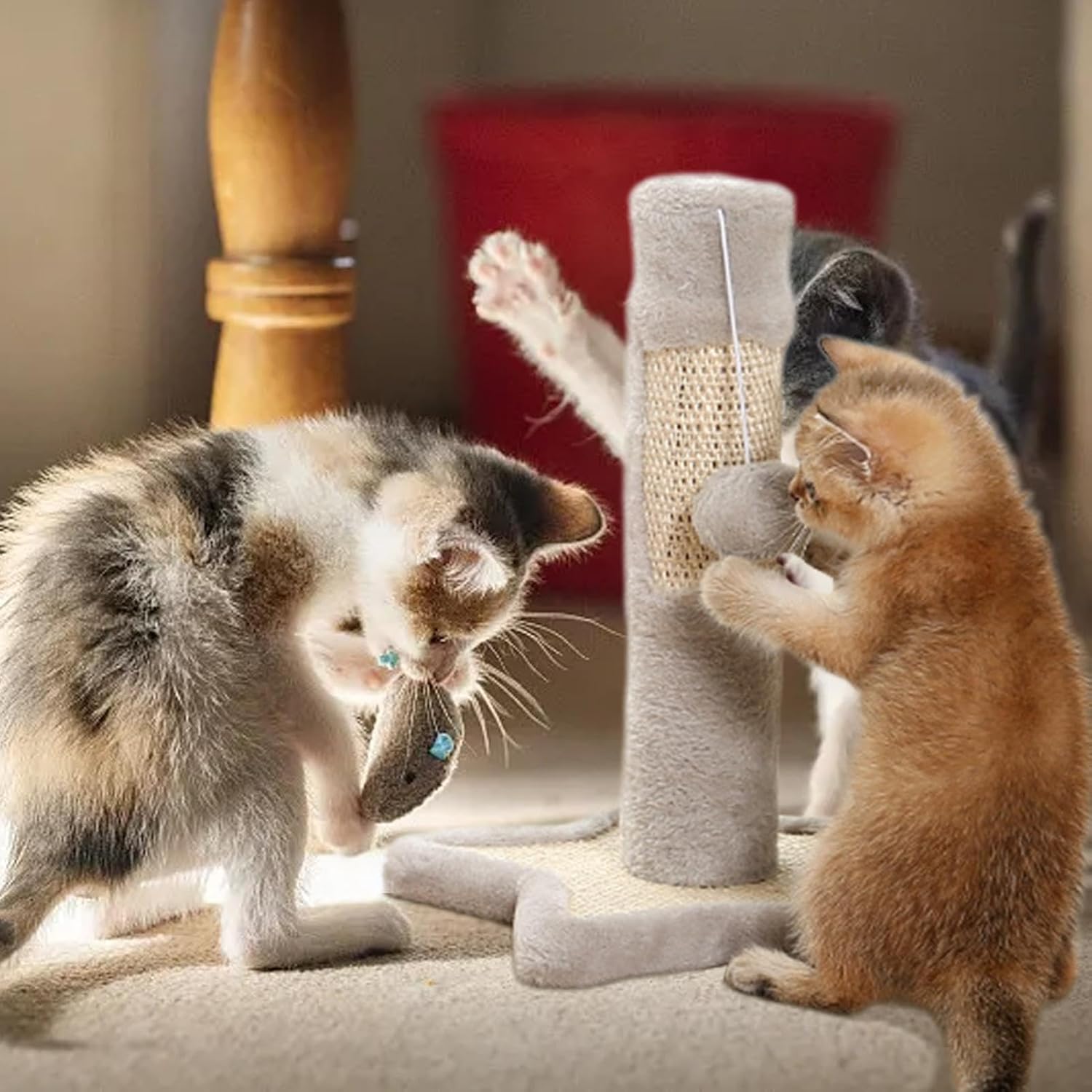 review Kitten Scratch Post with Ball | Interactive Kitten Claw Scratcher | Cat Scratching Post with Dangling Ball | Kitten Scratch Post for Small Cats, Claw Scratcher for Kittens, for Small Cats Kitten Claw