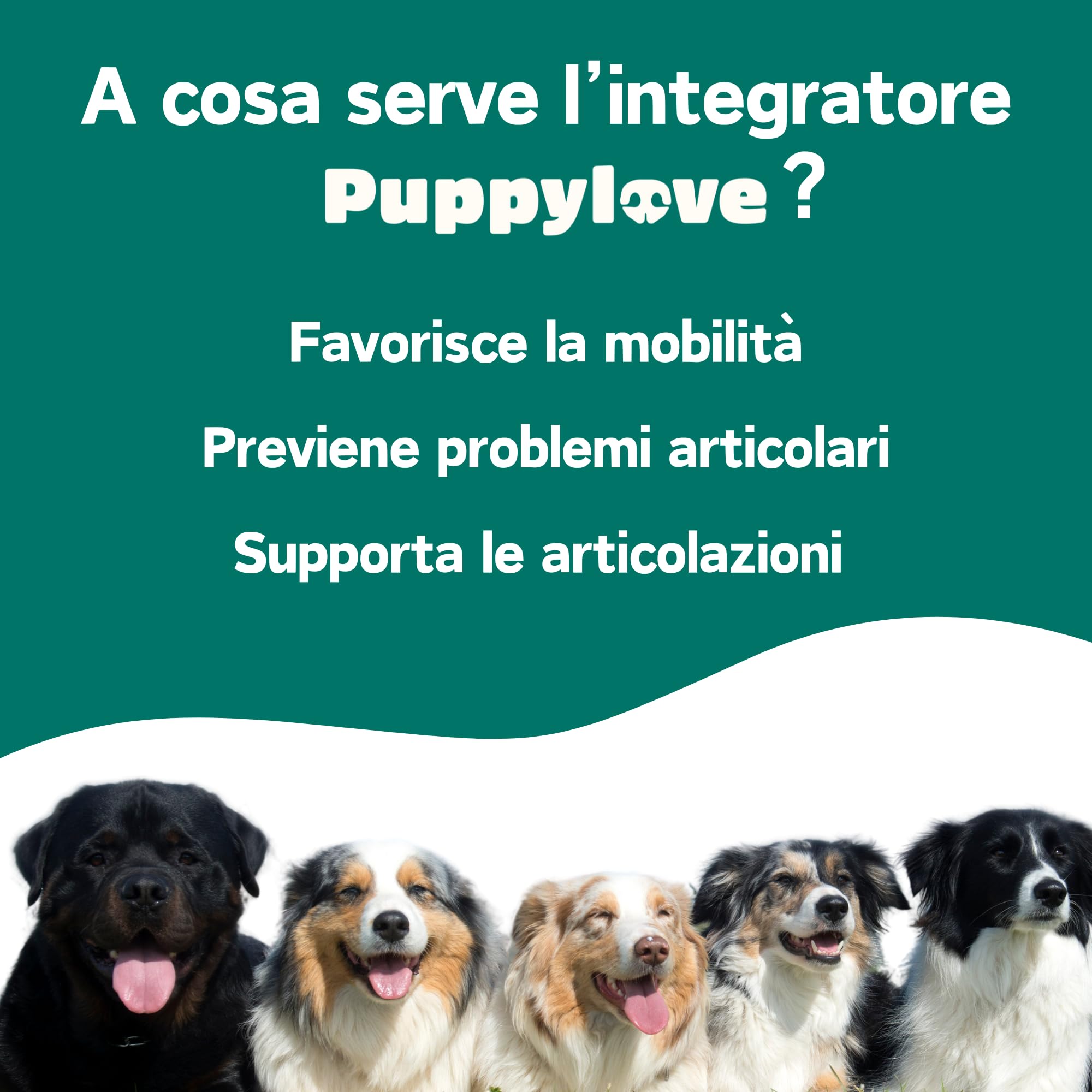 Puppylove Agility Boost – Integratore per le Articolazioni dei Cani -100 Compresse – Supporto per Mobilità e Flessibilità – Con Glucosamina, Condroitina e Olio di Pesce – Per Cani di Tutte le Taglie
