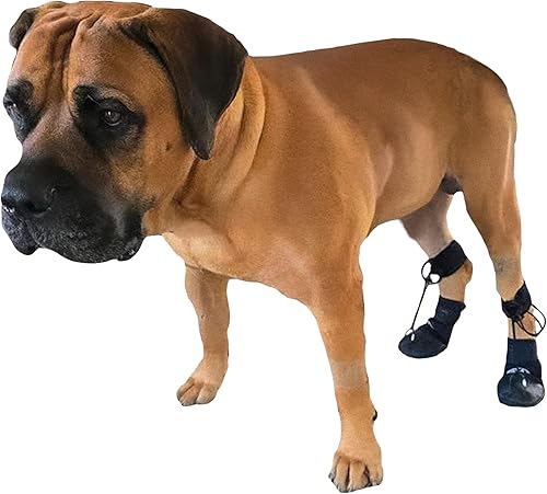 WALKABOUT™ Toe'sUP - Soporte para botas sin nudillos para perros que arrastran las patas, zapatos correctivos para levantar los dedos de los pies de