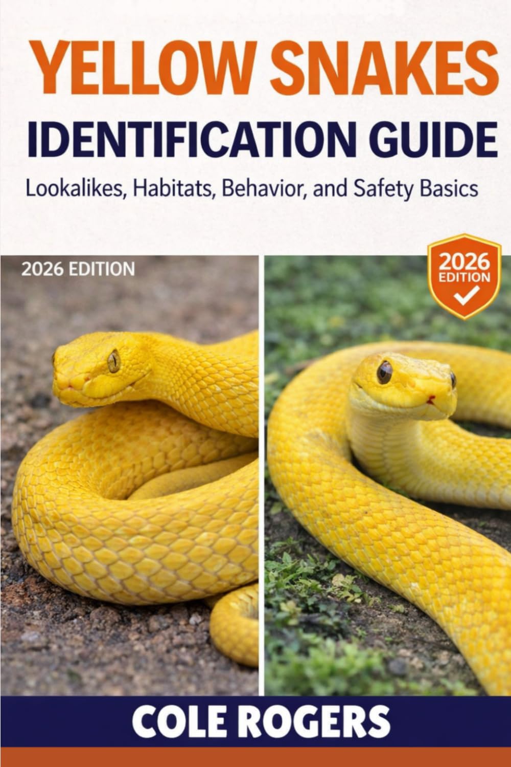 YELLOW SNAKES IDENTIFICATION GUIDE: Lookalikes, Habitats, Behavior, and Safety Basics