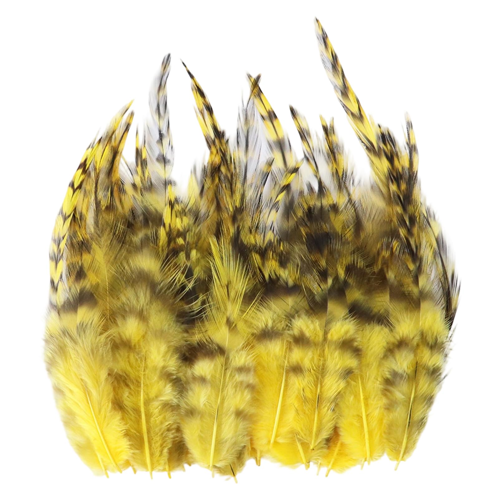 Qusinfc 100Pcs Dyed Pheasant Plumage for Fashion Design and Creative Decoration Partridge Quills