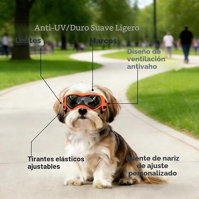 Foto 3 de 6 de Enjoying Gafas de sol para perro de raza pequeña, gafas con protección ultravioleta, para cachorros