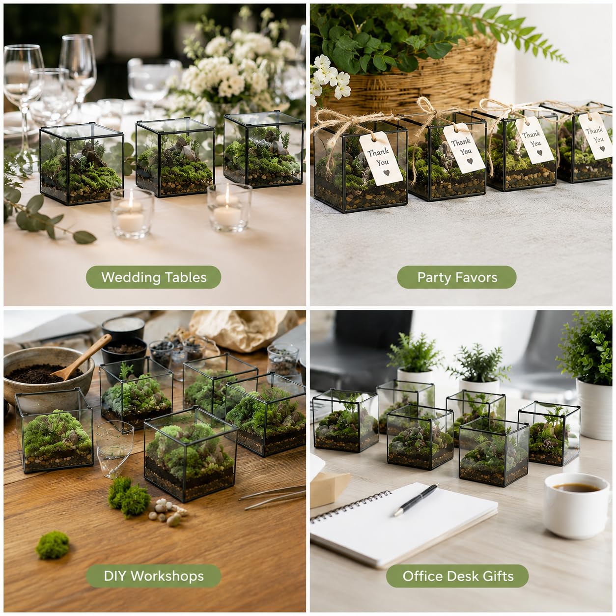 Pequeño terrario cuadrado de vidrio con tapa, maceta, transparente, 11 cm, musgo, suculentas, plantas de aire, minijardín de hadas, marco de metal negro, decoración de plantas de mesa de interior