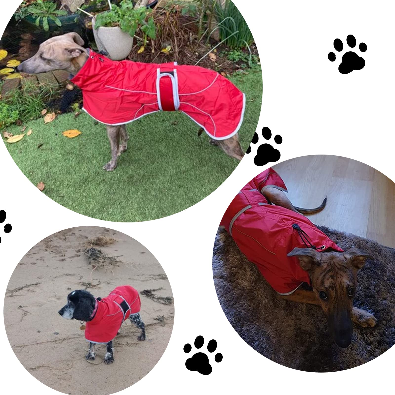 Geyecete Abrigo Invierno para Galgo, Impermeable Chaquetas Perro con Forro Polar Cálido,Abrigo Whippet, Abrigo Lurcher,Térmico Chaquetas Ideal para Perros Medianos y Grandes-Navy-L