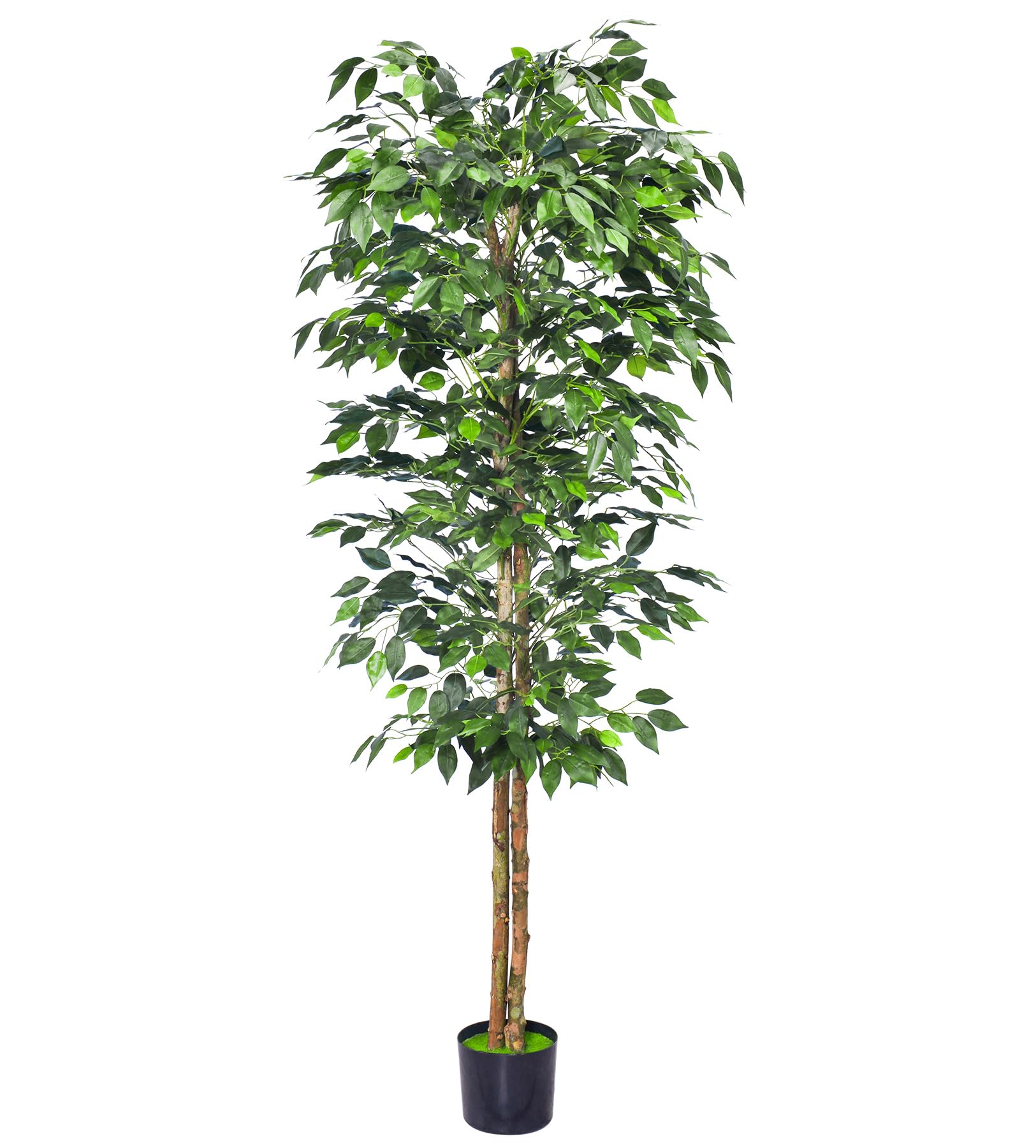 1Pack 6FT Artificial Ficus Tree with Realistic Leaves and Natural Trunk, Faux Ficus Tree with Sturdy Plastic Nursery Pot, Fake Ficus Tree for Office Home Farmhouse for Indoor Outdoor Decor