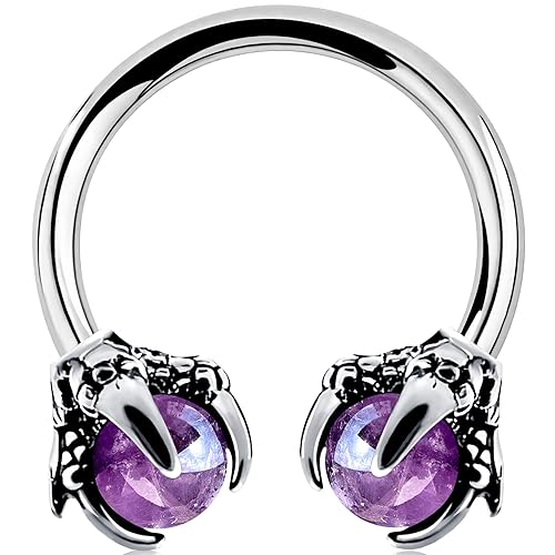 OUFER 316L Surgical Steel Circular Earrings Two White Opals Surrounded by Dragon Claws Cartilage Earing Ear Body Piercing Jewelry Helix Earrings Piercing… - Steel Amethyst