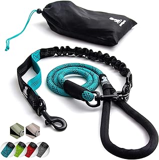 Hundeleine mit Bungee Verlängerung für Große und Mittelgroße Hunde mit Ruckdämpfer | Reflektierende Elastische Hundeleine zum Spazierengehen (Türkisgrün, Für 1 Hund)