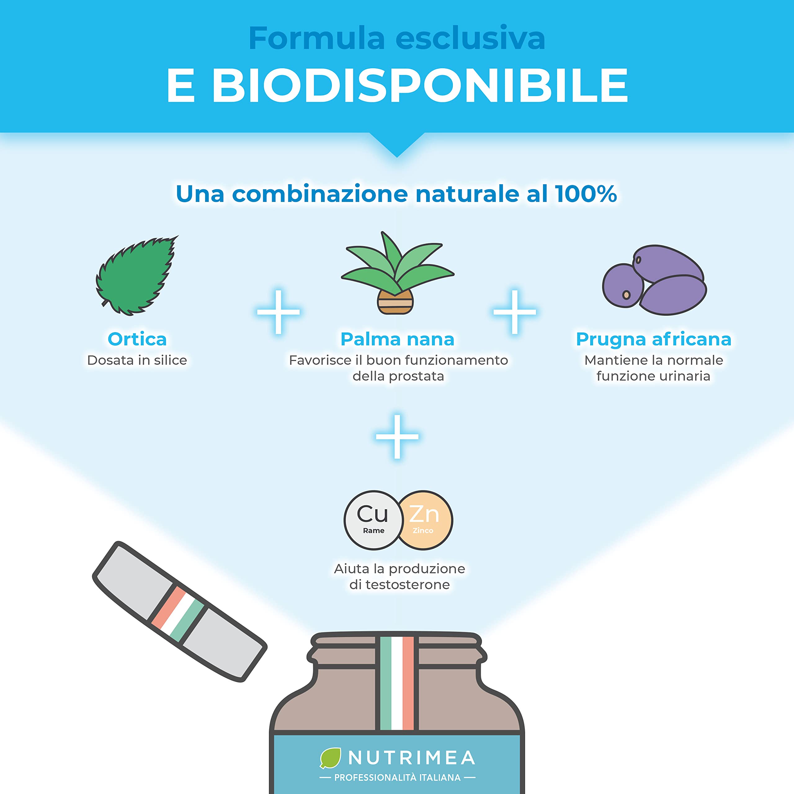 Prostasur | Integratore con Serenoa Repens 380 mg (Saw Palmetto), Urtica Diocia, Pygeum Africanum e Zinco | Salute della Prostata e delle Vie Urinarie | 60 Capsule | 1 Mese di Trattamento
