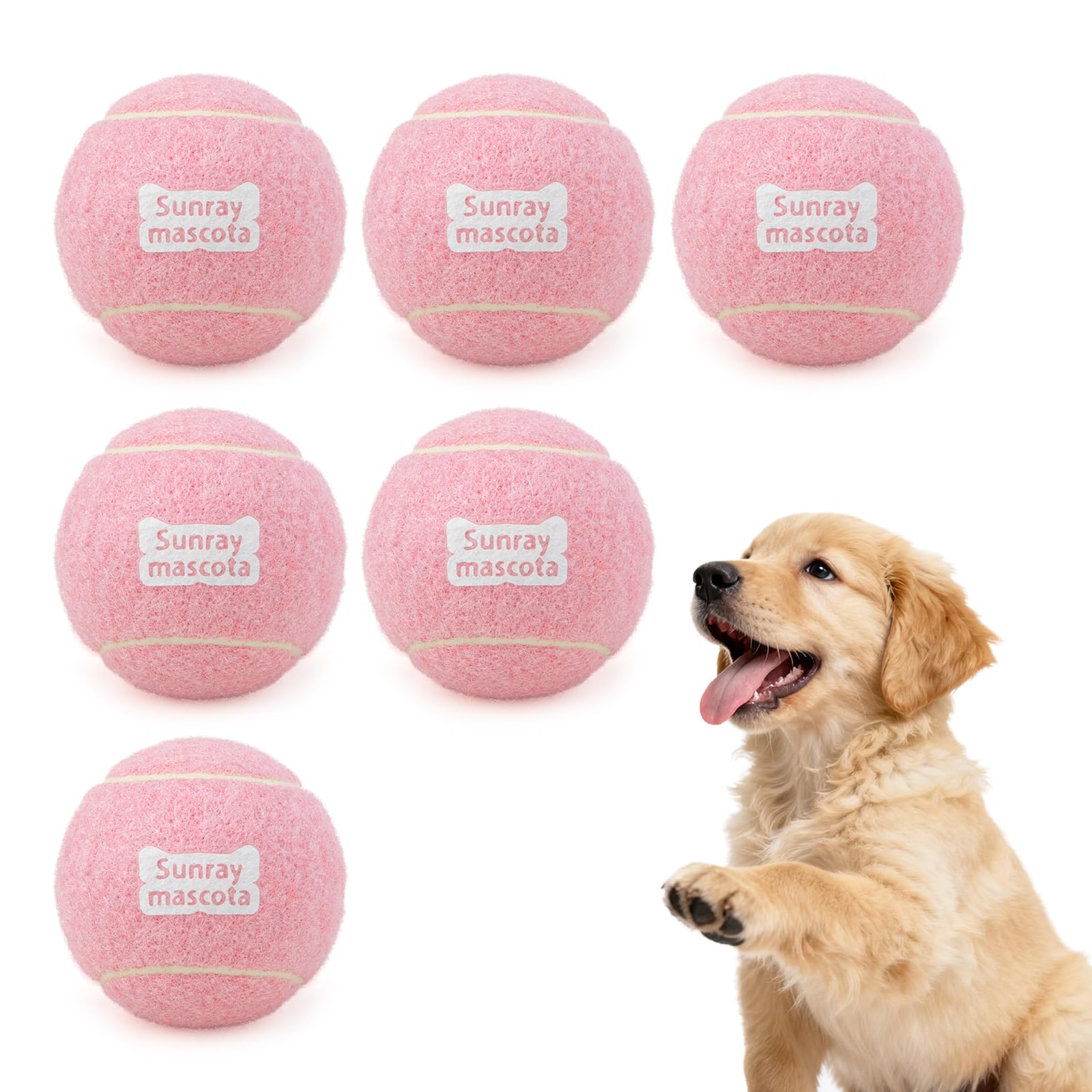 Sunraymascota 6-Pack Tennis Balls for Dogs Fetch Toys,for Beginner Practice