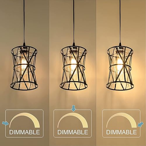 Miniatura 4 de HMVPL Lámpara colgante con enchufe de granja, lámpara de estilo swag para exteriores con cable de encendidoapagado regulador de intensidad, lámpara