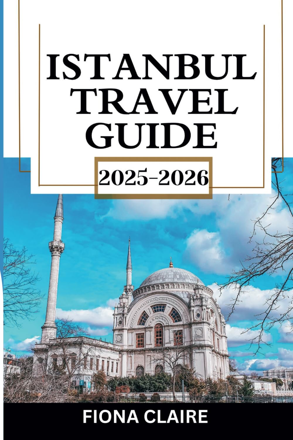 Istanbul Travel Guide 2025: Top Attractions, Hidden Gems, and Essential Tips for First-Timers in Turkey (The Traveler's Companion)
