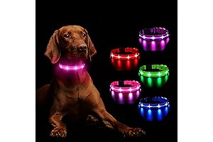 Masbrill LED Dog Collar Light: Illuminate Your Dog's Nighttime Adventures Safely