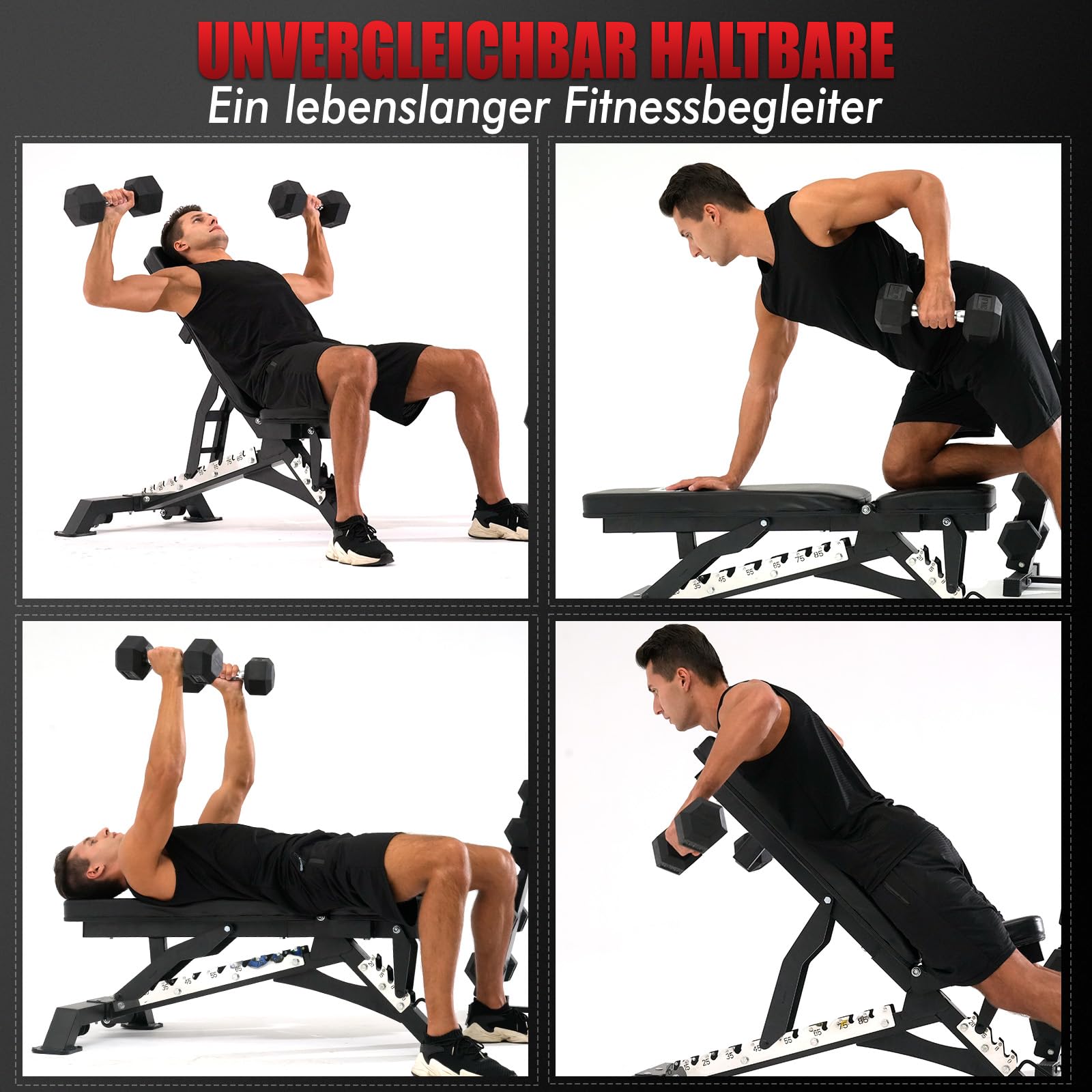 RitFit Hantelbank, Schrägbank, Trainingsbank Max. 590kg Tragkraft