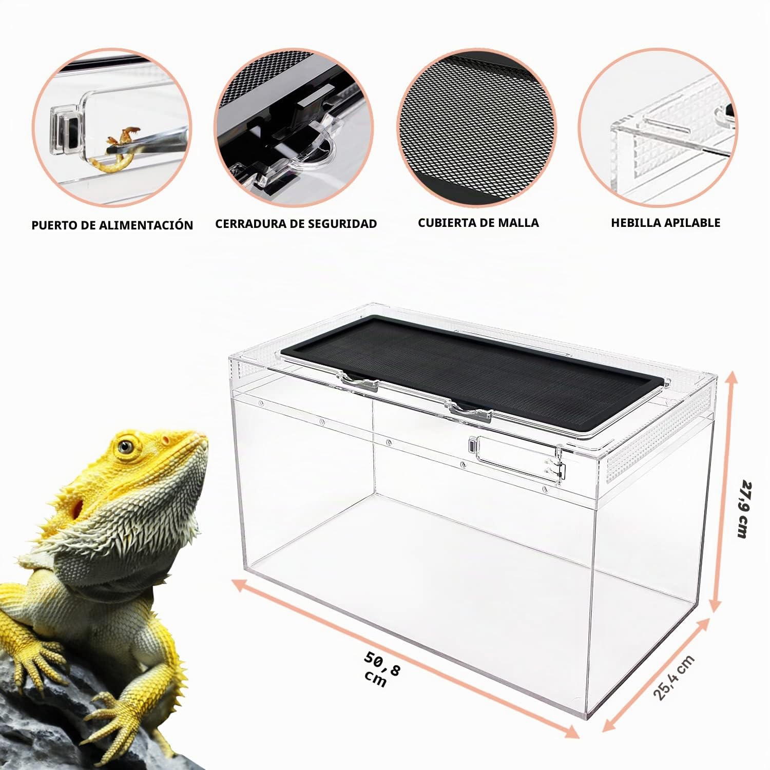 Reptile Growth Kit de terrario para reptiles, tanque de reptiles de 10 galones, 20x10x11 pulgadas, cuenco de agua para alimentos, terrario reptil para gecko ermitaño cangrejo dragón barbudo lagarto