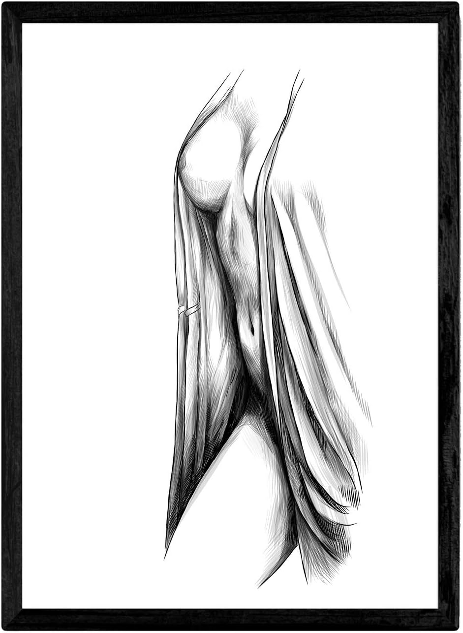 Nacnic Erotic Chest Film with Sensual Pictures of the Female Body Drawn Interior Decoration with Erotic Illustrations A3