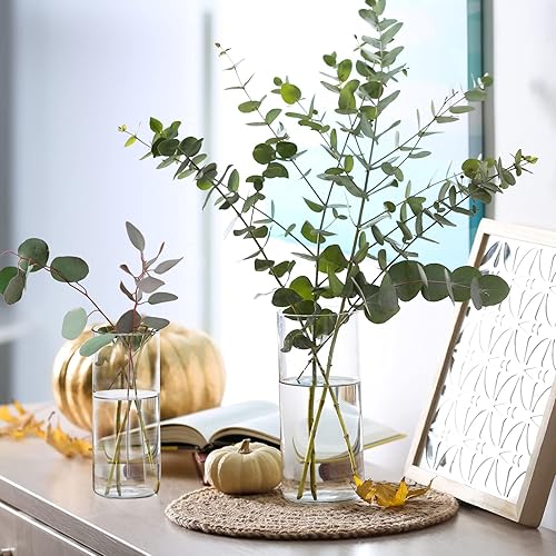 Miniatura 9 de WDHODEC Portavelas de huracán para velas de pilar, jarrones cilíndricos de vidrio transparente para flores, votivas para centros de mesa de fiesta