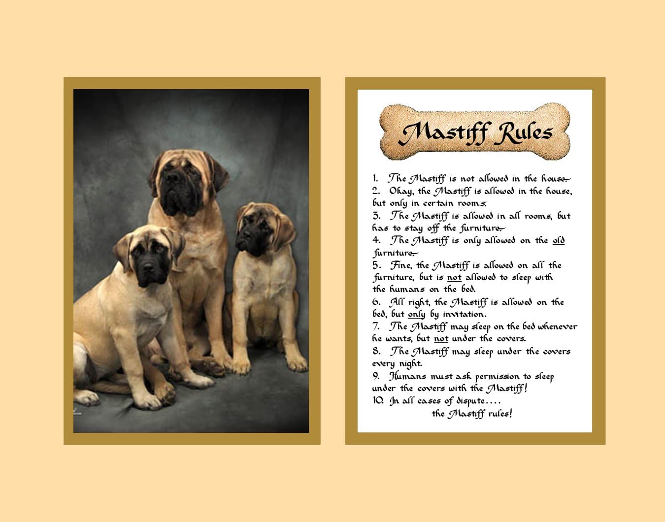 McDarlins Calligraphy Mastiff Dog Rules Wall Decor Pet