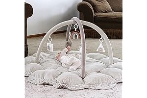 Baby Play Gym with 4 Sensory Zones: LaDida Convertible Stage-Based Developmental Gym