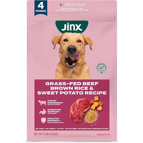 Jinx Premium Dry Dog Food, for All Lifestages - Real Beef, Brown Rice & Sweet Potato Kibble with Superfoods for Immune Support & Probiotics for Digestive Support - No Fillers - 4lb