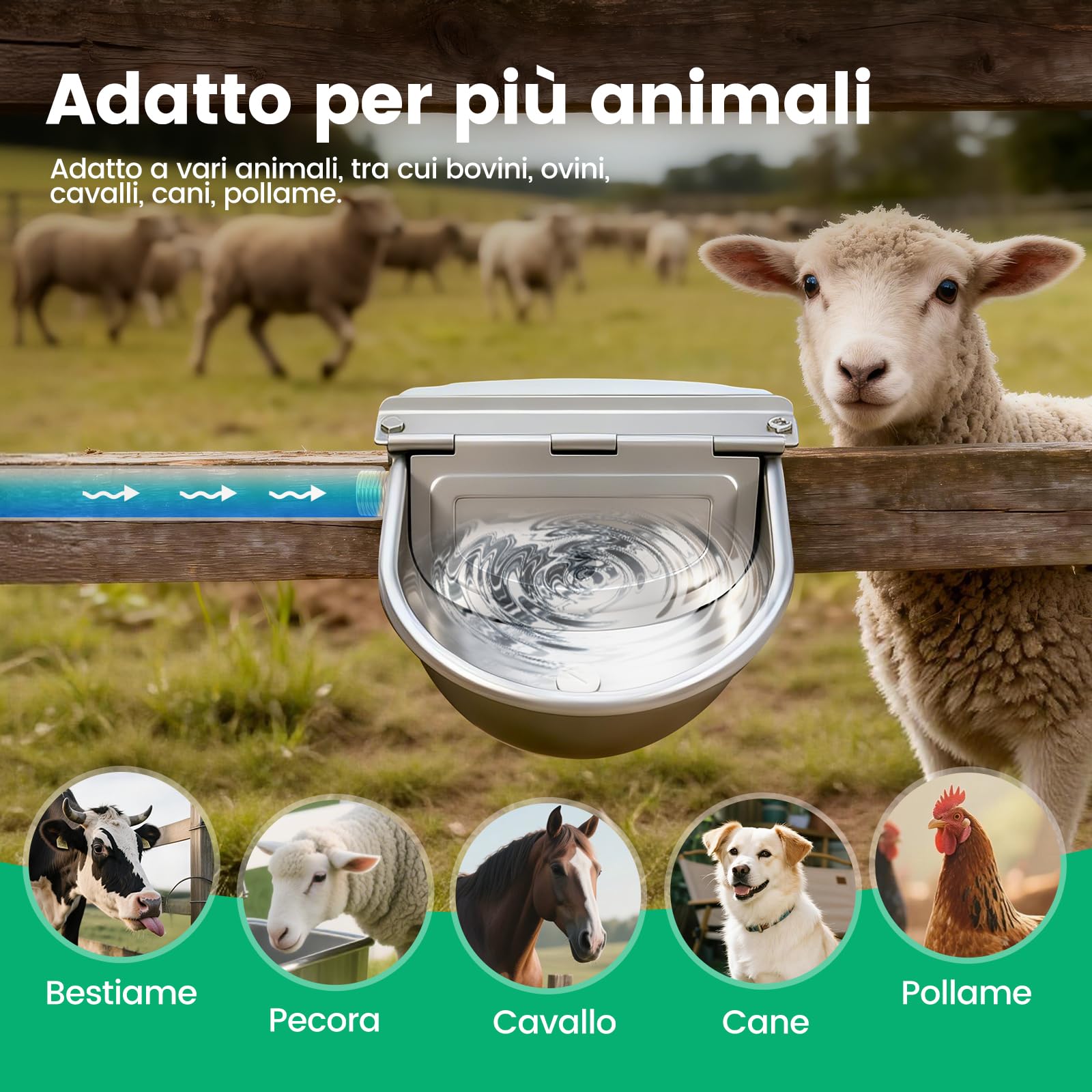 Abbeveratoio In Acciaio Inox,Abbeveratoio Per Animali Con Valvola,Bevanella Per Bestiame Con Galleggiante,Ciotola Acqua Per Mucche,Abbeveratoio Automatico Per Cavalli,Ovini,Cani,Maiali