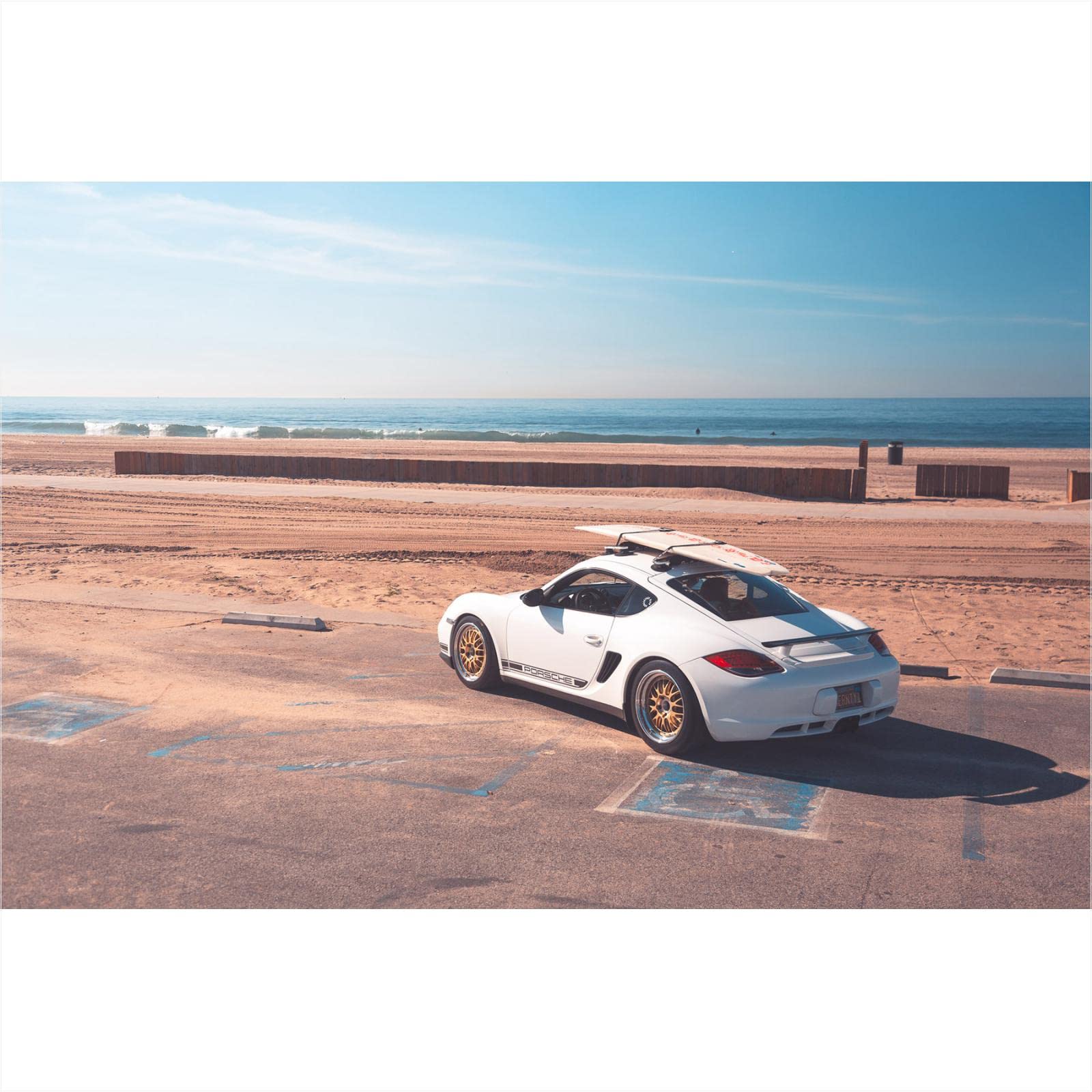 Amazon | SeaSucker(シーサッカー) ボードラック サーフボード/パドル