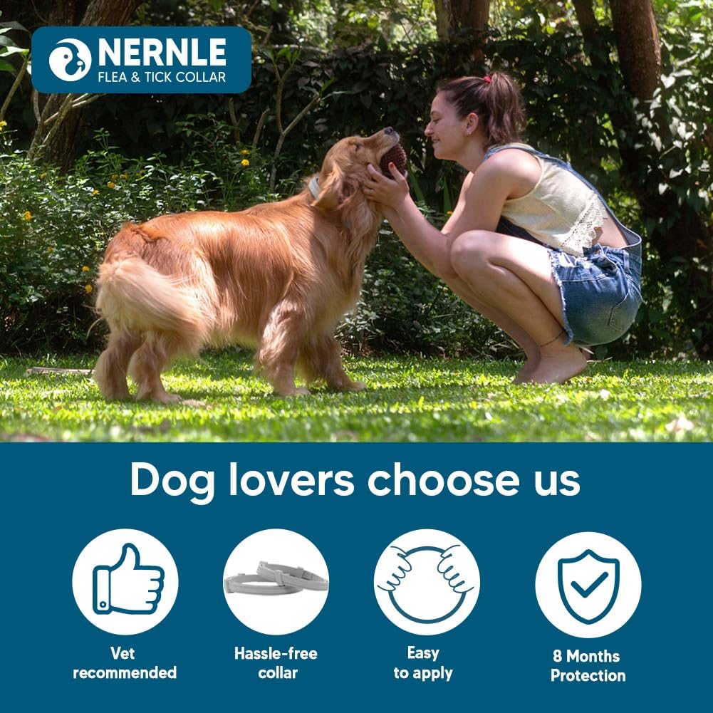 Collare per Cani Oltre 8 KG, Regolabile Collare Cane, Protezione 8 Mesi per Grande Cani, Collare per cani impermeabile 2 Pack