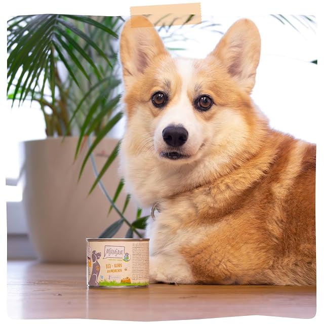 Foto 6 de 6 de MjAMjAM - Comida húmeda Premium para Perros - naturalmente Deliciosa