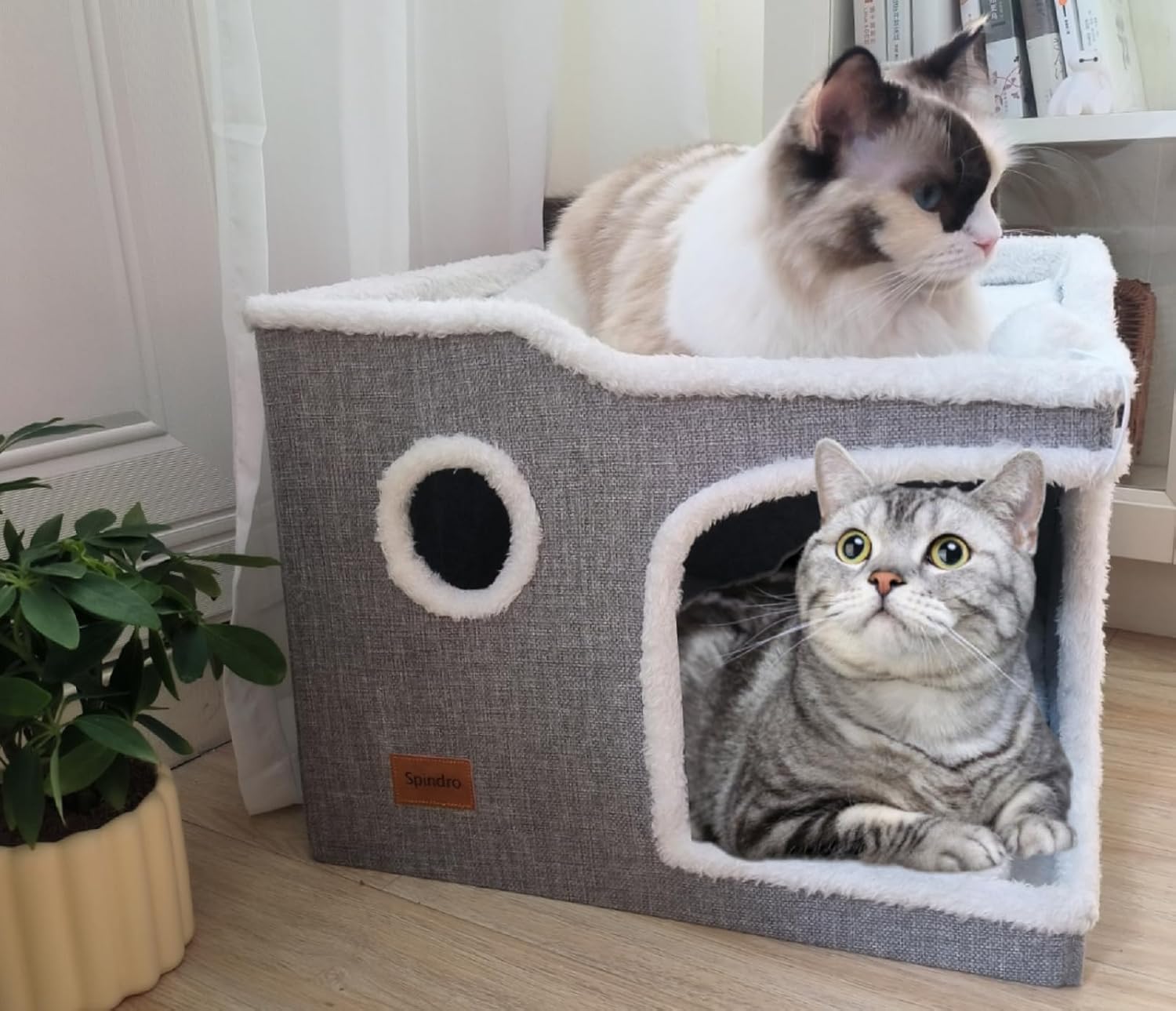Spindro Cat Bed for Indoor Cats, Cats Cube House with