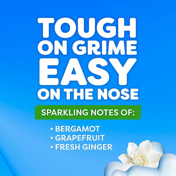 Windex Fast Shine Foam Glass Cleaner, No-Drip Windows, Doors, Mirrors, Countertops Aerosol Cleaning Spray, Streak-Free Shine, Removes Fingerprints, Dust, Dirt, Gardenia Scent, 19 oz (Pack of 6)
