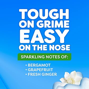 Windex Fast Shine Foam Glass Cleaner, No-Drip Windows, Doors, Mirrors, Countertops Aerosol Cleaning Spray, Streak-Free Shine, Removes Fingerprints, Dust, Dirt, Gardenia Scent, 19 oz (Pack of 6)