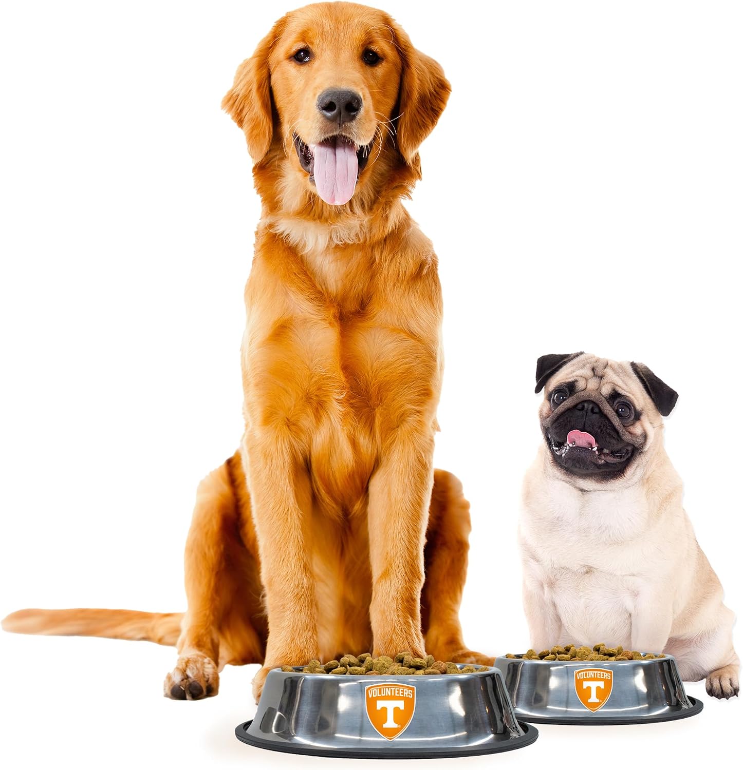 Littlearth NCAA Everyday Pet Bowls