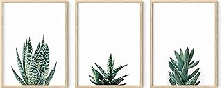 HAUS AND HUES Cactus Wall Art Succulent Frame Set of 3 - Plant Art Frame...