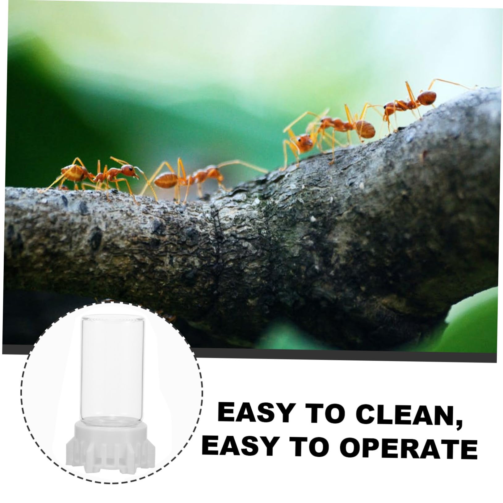 ifundom Bebedero para Hormigas Alimentador 20 Ml de Plástico Acrílico, Taza Pequeña para Riego Estable para Nidos de Hormigas, Uso en Terrarios para Insectos y Cuidado de Hormigueros — view 4