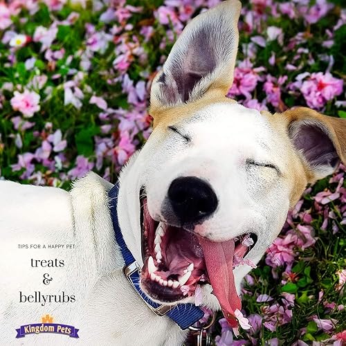 Miniatura 10 de Cecina de pechuga de pato, golosinas prémium para perros, bolsa de 40 onzas